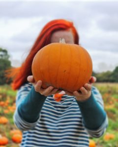 Incredibusy pumpkin