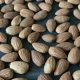 almonds